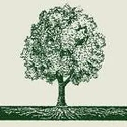 Reliable outdoor landscaping in Pasadena, CA by Flintridge Tree Care