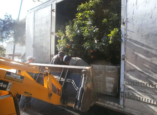 Expert garden landscaping in Pasadena, CA - Flintridge Tree Care