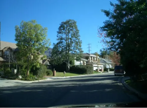 Reliable lawn mowing service in Pasadena, CA - Flintridge Tree Care