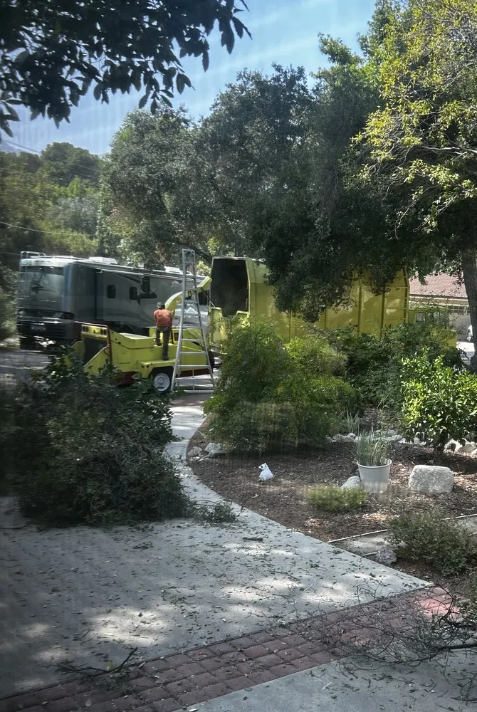 Affordable landscape design with custom design across Pasadena, CA - Flintridge Tree Care