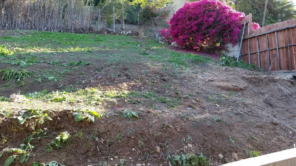 Top-rated landscape installation for outdoor upgrades in Pasadena, CA by Flintridge Tree Care