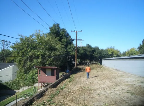 Professional landscape design experts serving Pasadena, CA - Flintridge Tree Care