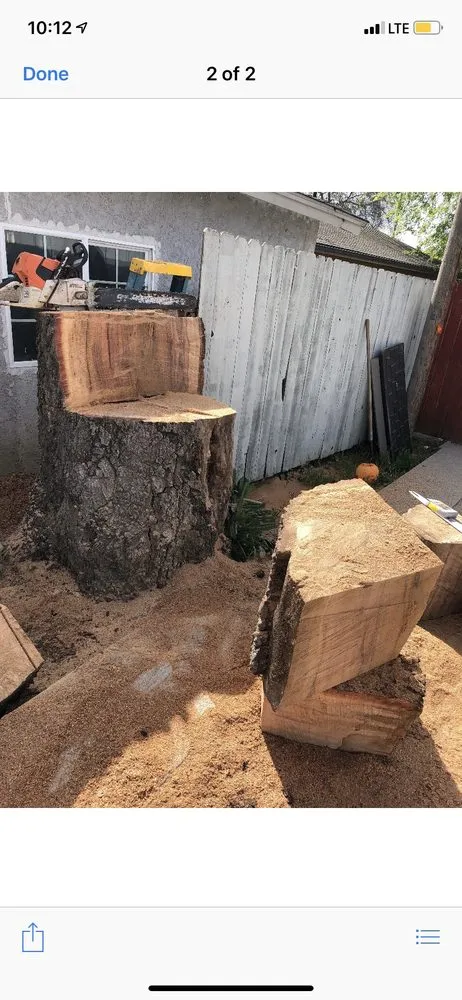 Professional lawn care service for homes in Pasadena, CA by Flintridge Tree Care