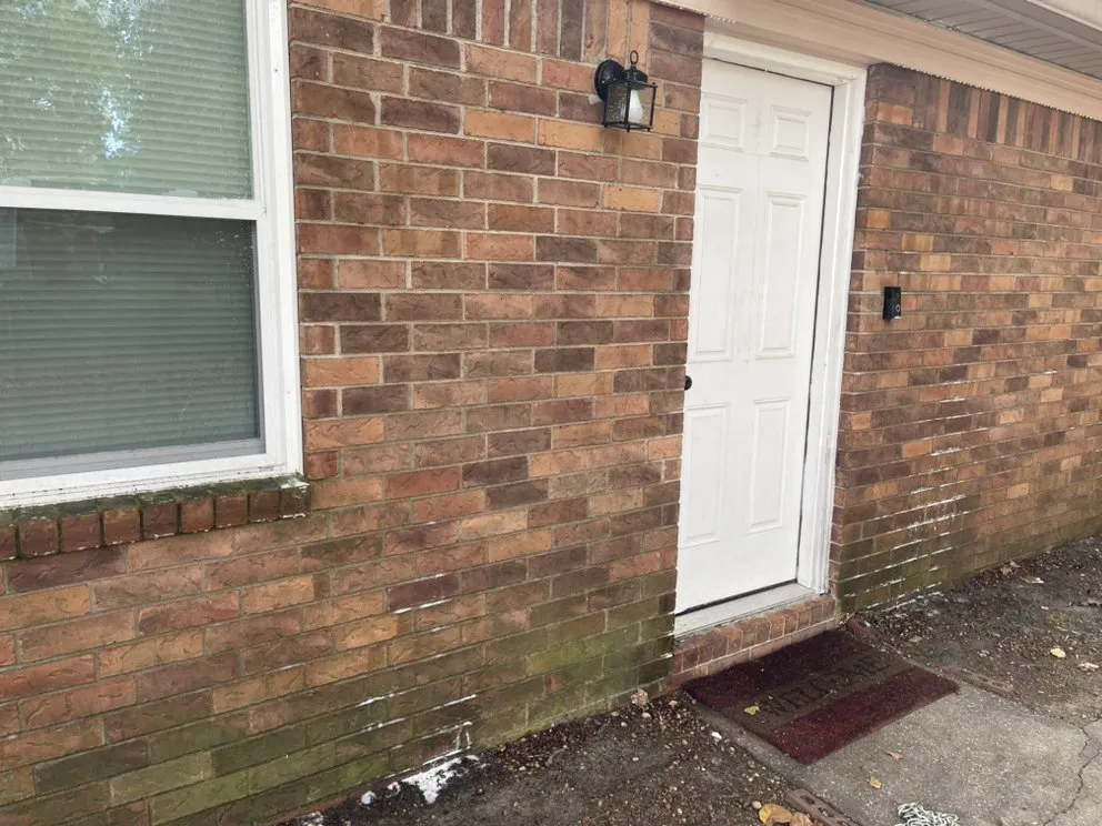 Top-rated yard cleanup service in Augusta, GA - Flips Exterior Cleaning Services