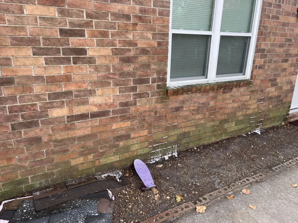 Professional landscape installation for outdoor upgrades across Augusta, GA - Flips Exterior Cleaning Services