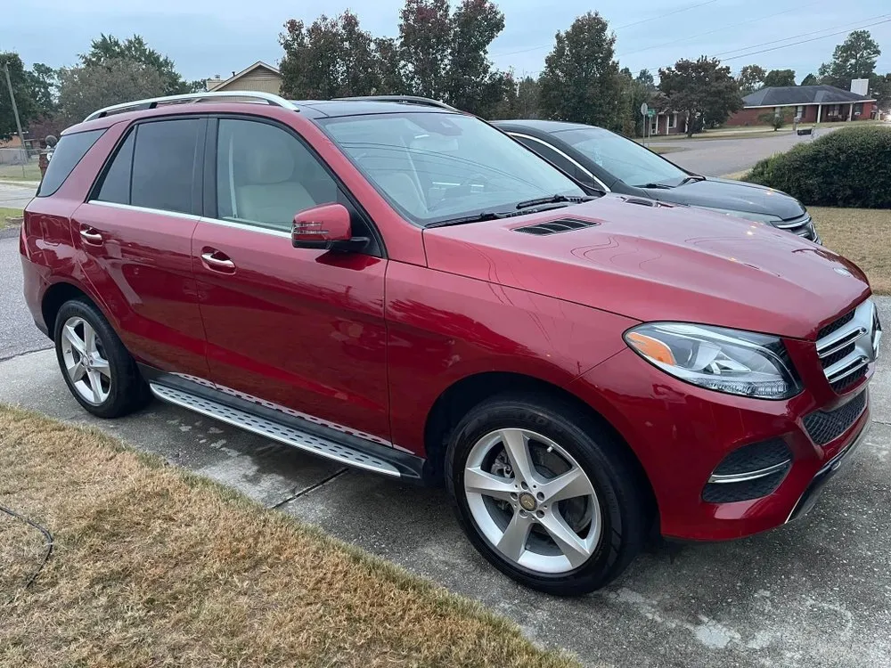 Trusted landscape design experts serving Augusta, GA - Flips Exterior Cleaning Services