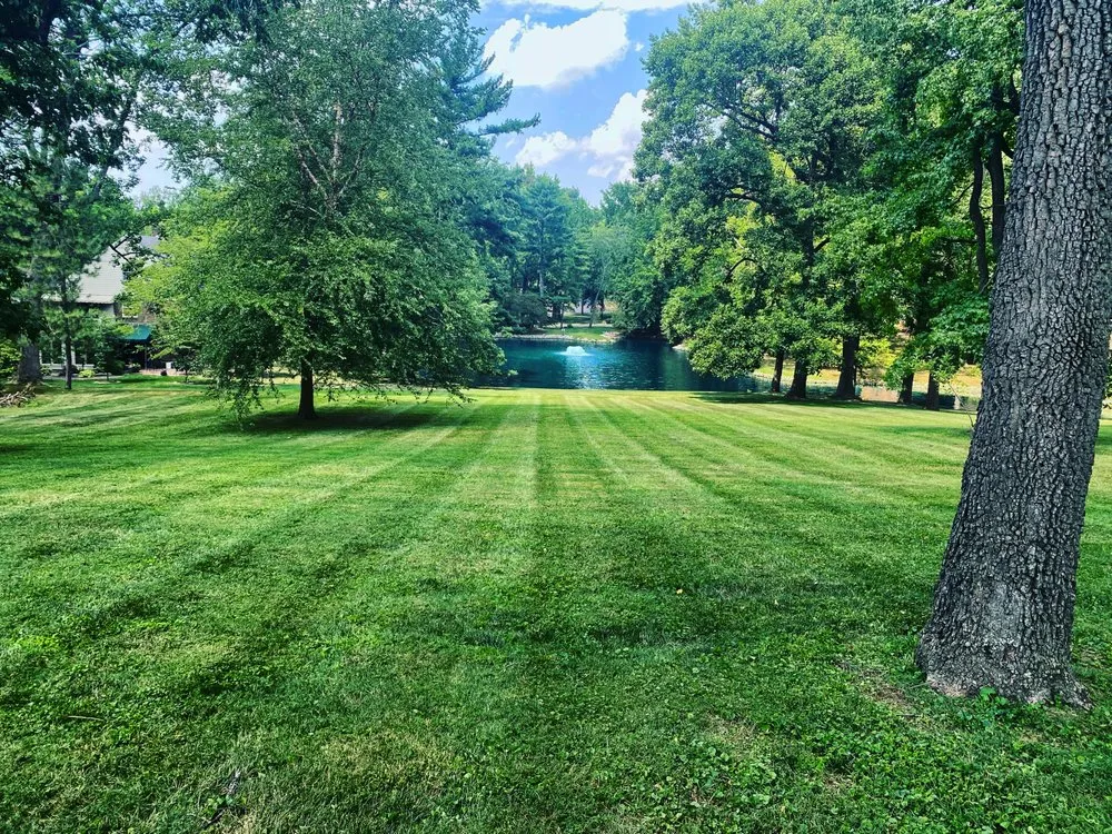 Top-rated yard cleanup service for residential properties across Newburgh, IN - Flittner Lawn Service