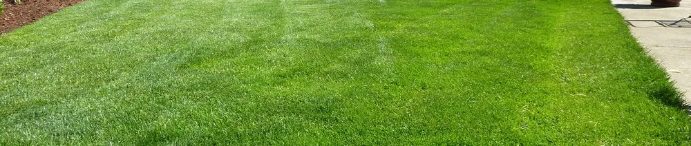 Custom landscape design for homes in Heber City, UT by Flitton' Lawn And Land