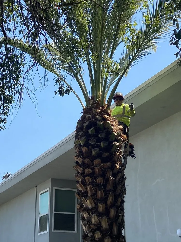 Reliable lawn care service experts serving Modesto, CA - Flix Lawn Care & Maintenance