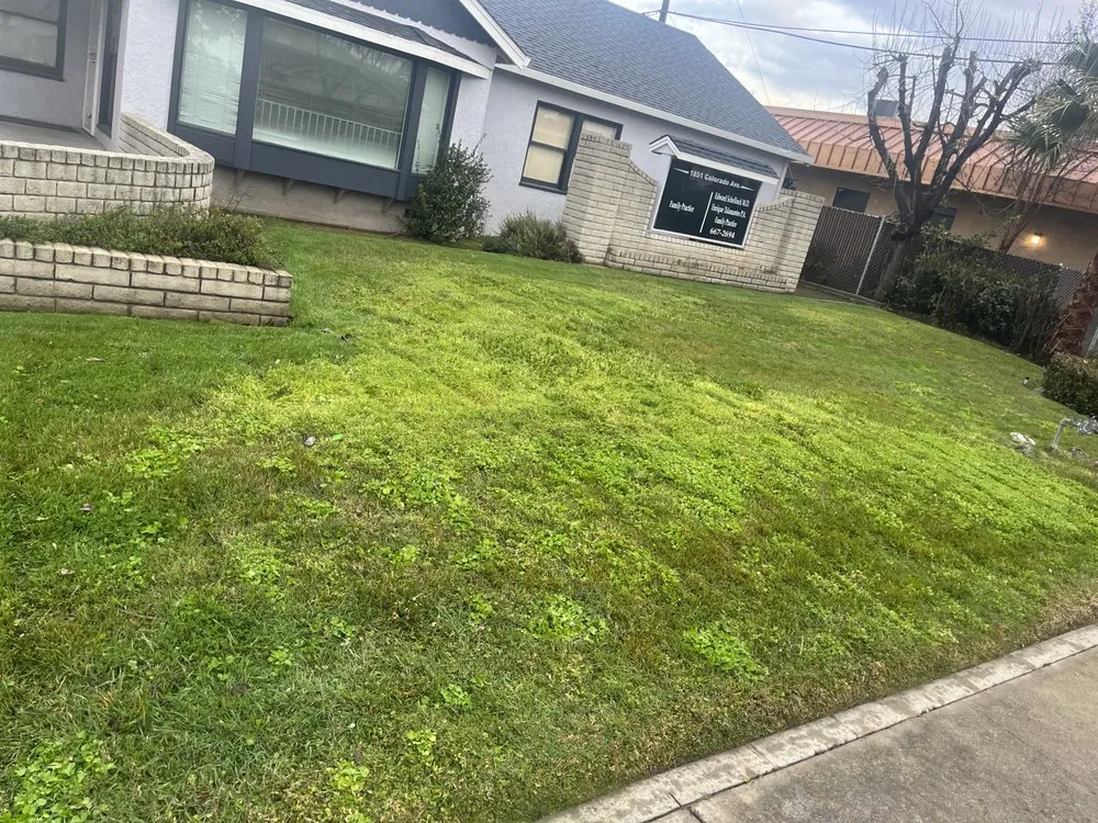 Professional residential landscaping in Modesto, CA - Flix Lawn Care & Maintenance