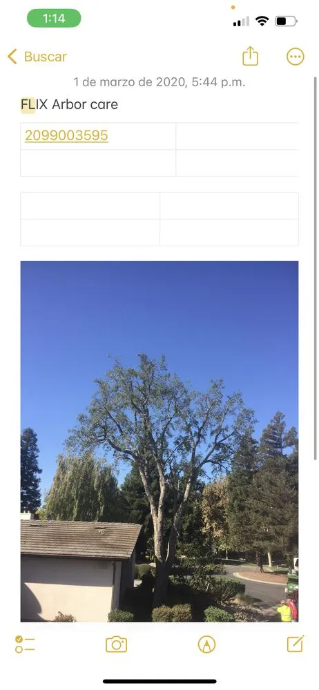 Custom landscape installation for residential properties across Modesto, CA - Flix Lawn Care & Maintenance