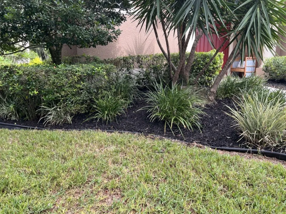 Trusted landscape installation for homes across Monticello, FL - Flo Grown Lawns And Hauling