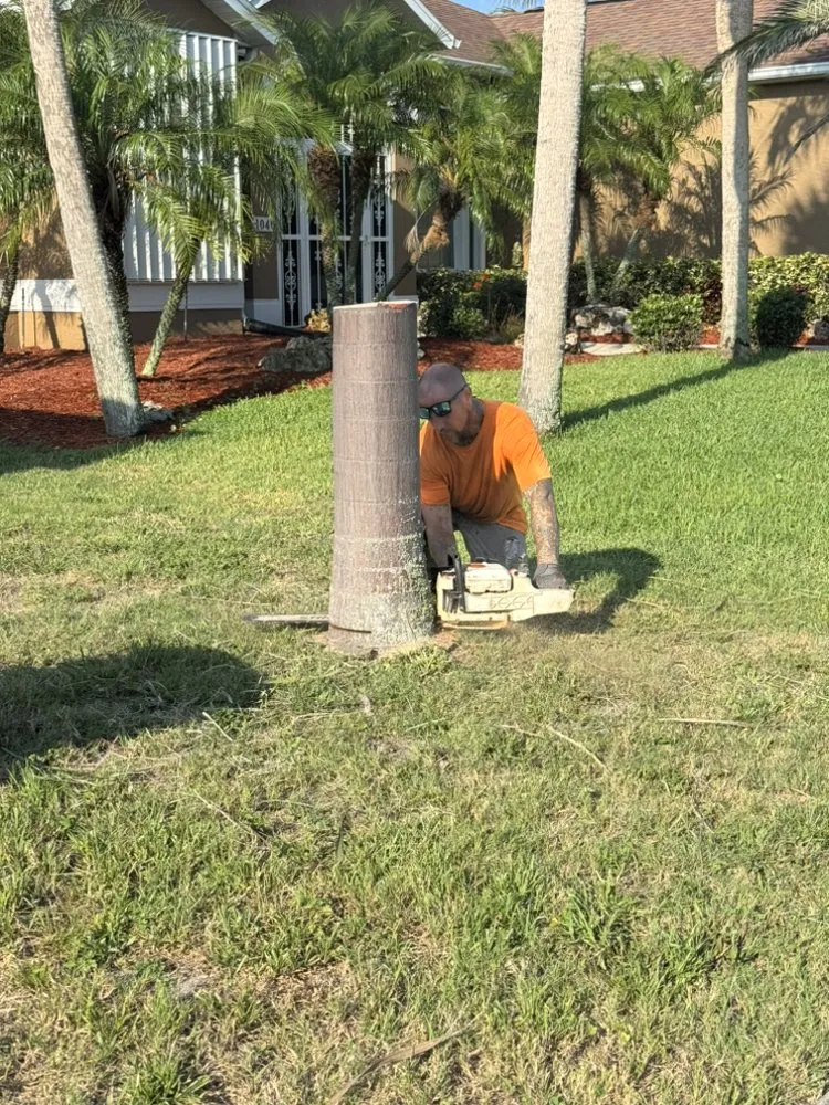 Trusted yard cleanup service in Venice, FL - Flo-Grown Trees and Landscaping