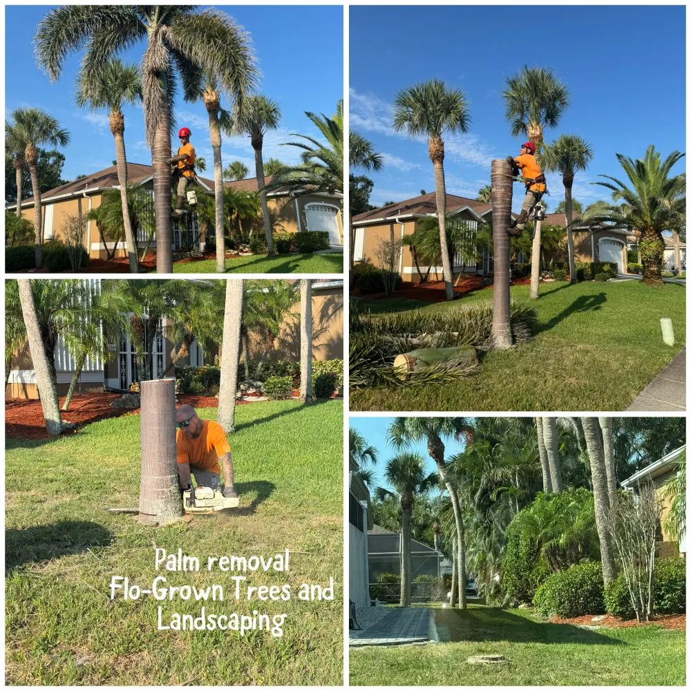 Top-rated garden landscaping in Venice, FL - Flo-Grown Trees and Landscaping