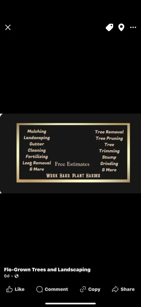 Trusted garden landscaping experts serving Venice, FL - Flo-Grown Trees and Landscaping