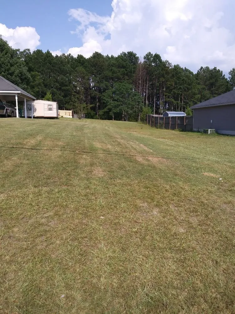 Trusted lawn care service for homes in Phenix City, AL by FLO Landscaping