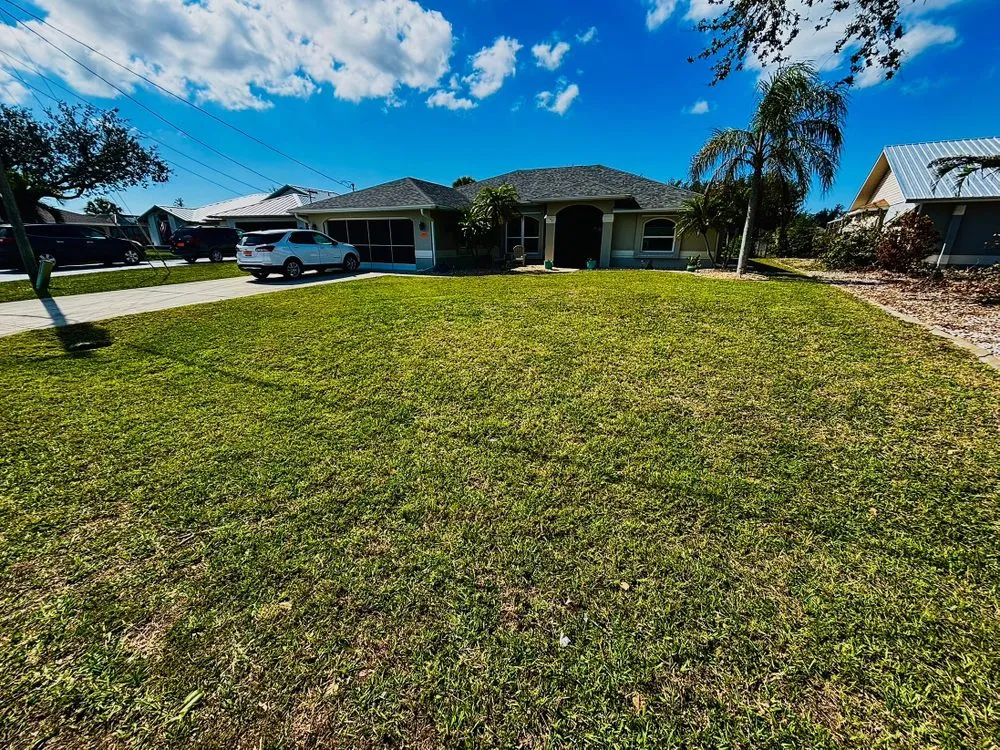 Affordable lawn care service in North Port, FL - Flo Lawn Landscaping