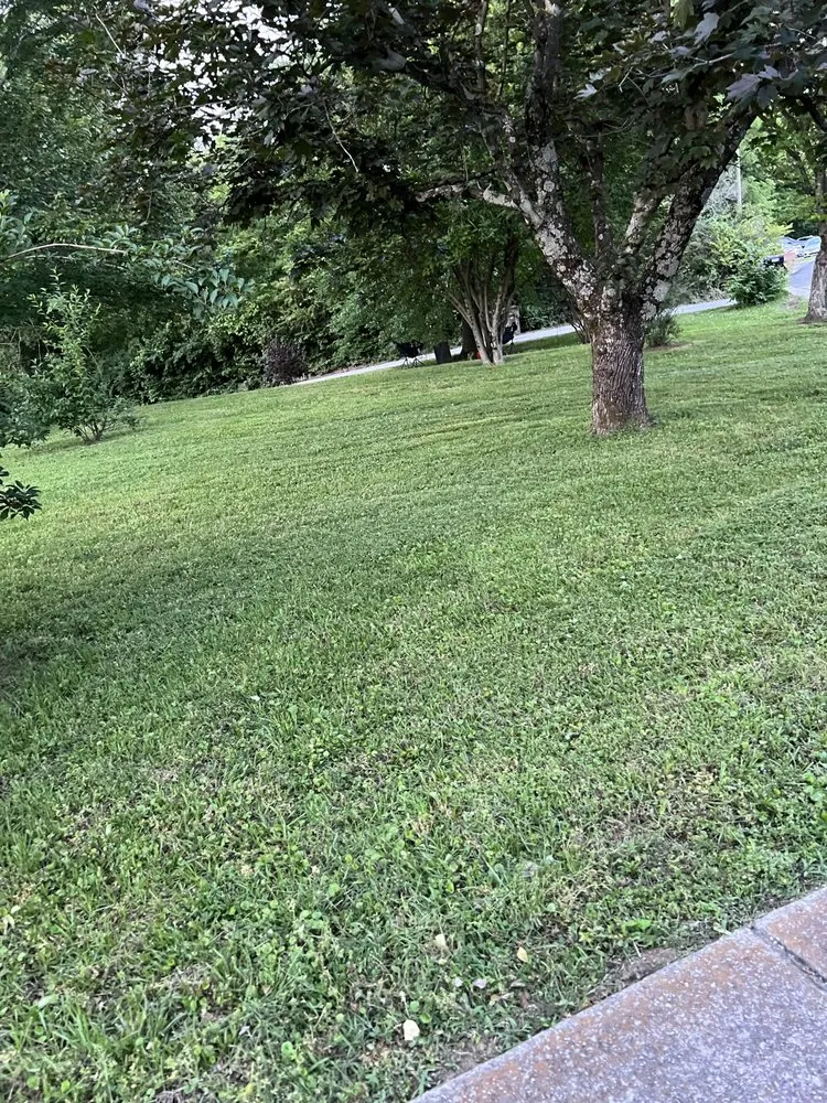 Trusted landscape installation in Nashville, TN - Flo-Mow Exterior Restorations