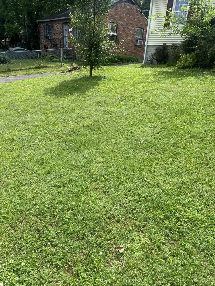 Professional lawn mowing service near you across Nashville, TN - Flo-Mow Exterior Restorations