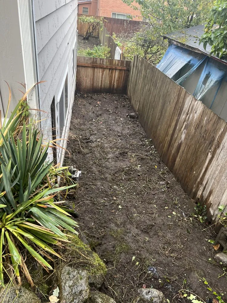 Expert yard maintenance for homes in Renton, WA by Floating cloud services
