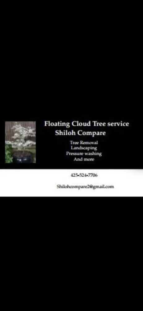 Custom yard maintenance in Renton, WA - Floating cloud services