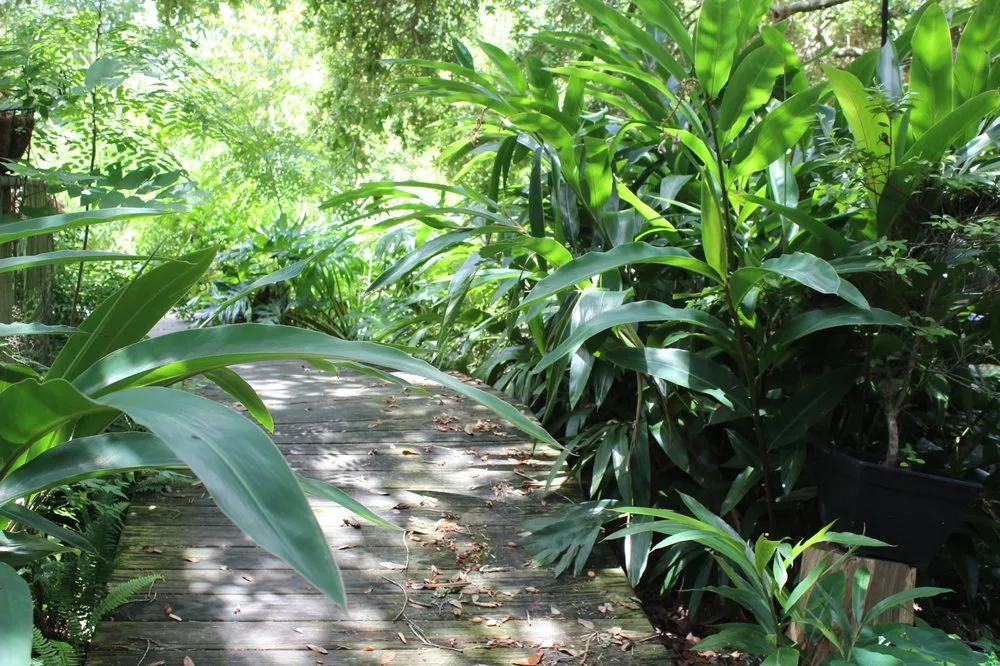 Custom lawn care service experts serving Beaumont, TX - Flocke Lone Star Irrigation