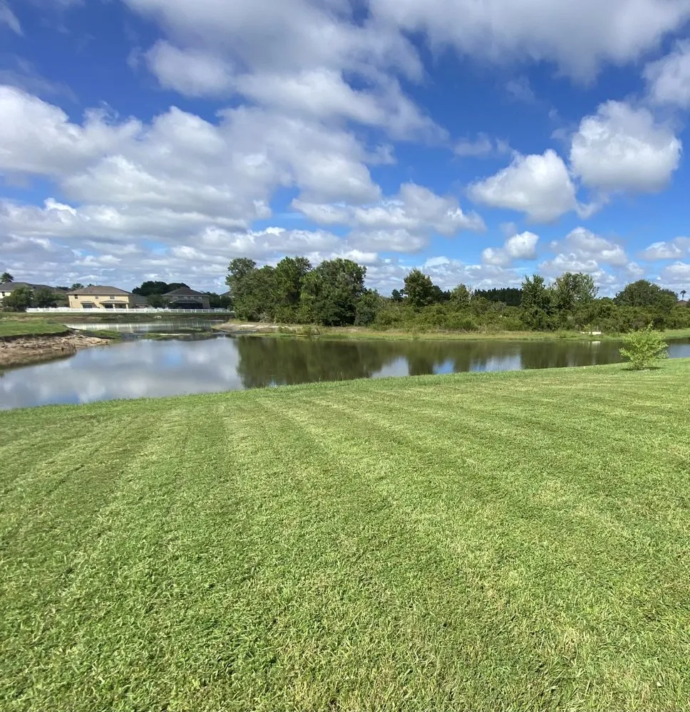 Professional outdoor landscaping in Tampa Bay, FL - FloCoast Lawn Care