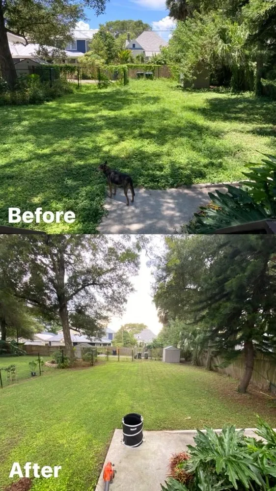 Professional yard cleanup service in Tampa Bay, FL by FloCoast Lawn Care