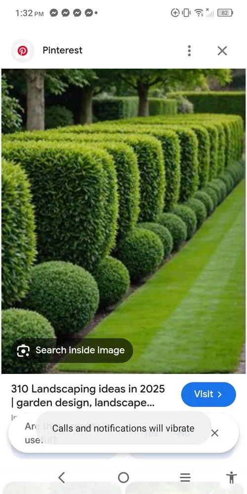 Custom yard cleanup service in Albany, GA by Flomoney's Lawn And Gardening