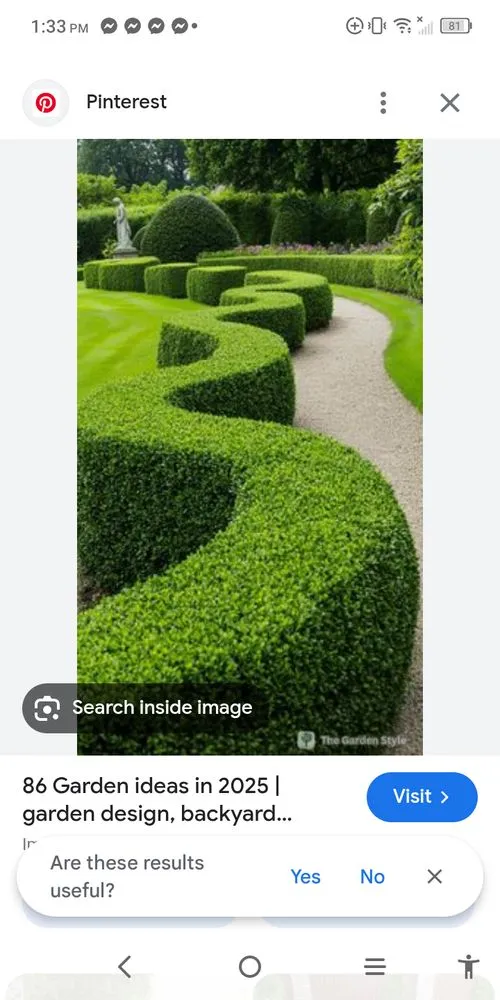 Affordable landscape design in Albany, GA - Flomoney's Lawn And Gardening