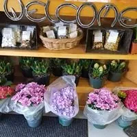 Reliable lawn care service in Cresco, PA - Flood's Nursery & Landscaping