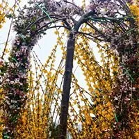 Reliable landscaping services for year-round maintenance in Cresco, PA by Flood's Nursery & Landscaping