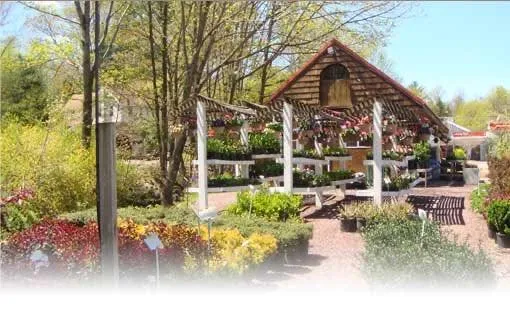 Affordable outdoor landscaping in Cresco, PA - Flood's Nursery & Landscaping