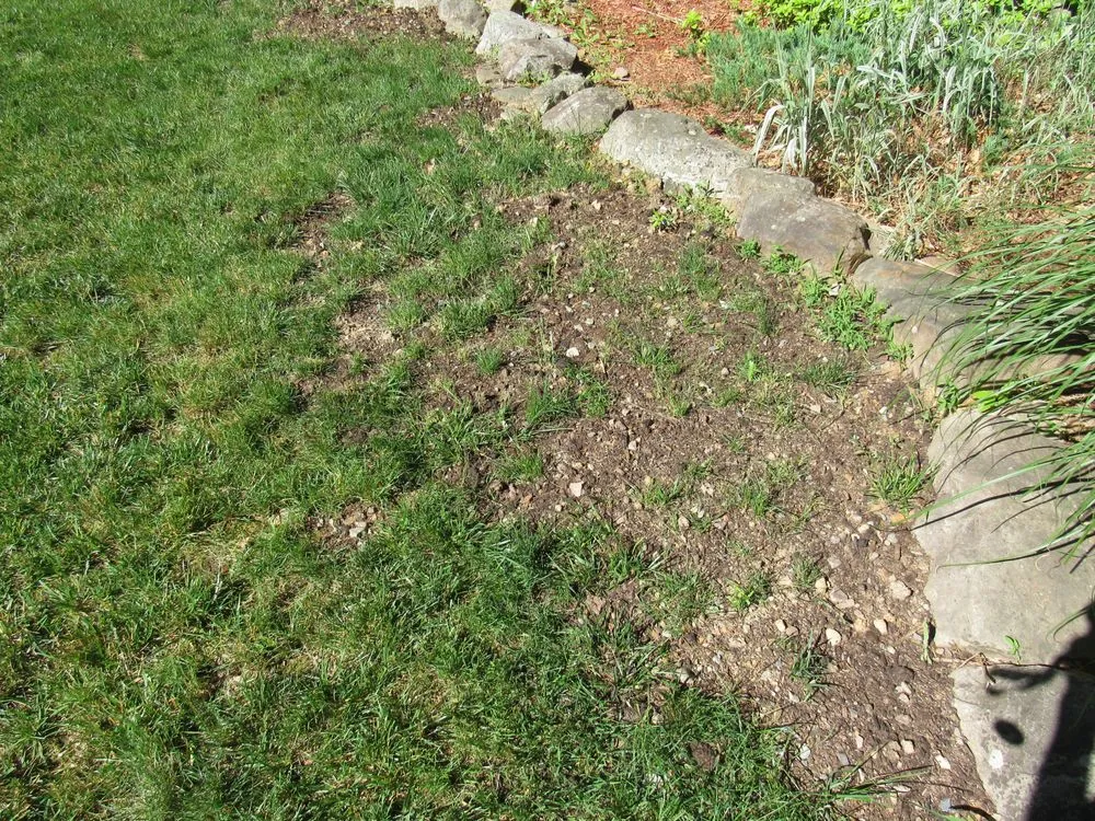 Professional landscape installation experts serving Cresco, PA - Flood's Nursery & Landscaping