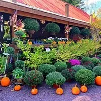 Local landscape design experts serving Cresco, PA - Flood's Nursery & Landscaping