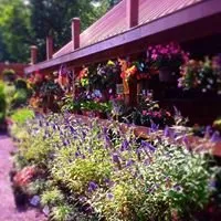 Professional residential landscaping for year-round maintenance in Cresco, PA by Flood's Nursery & Landscaping
