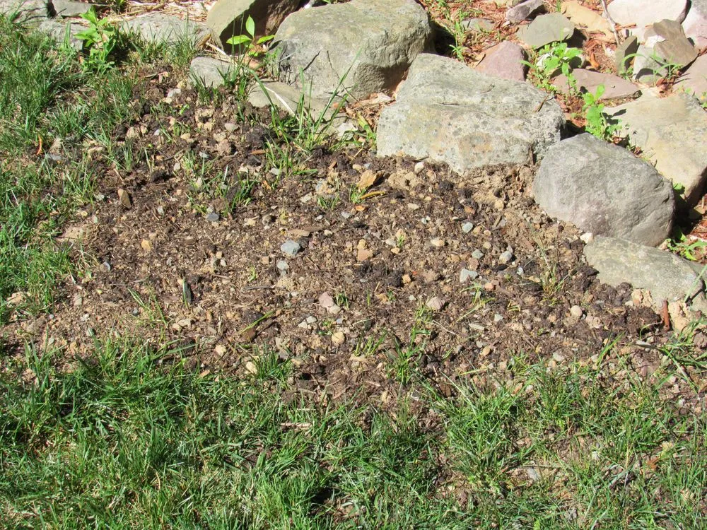 Top-rated landscape installation in Cresco, PA by Flood's Nursery & Landscaping