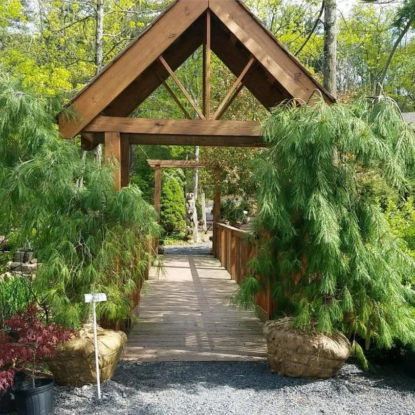 Expert yard maintenance in Cresco, PA by Flood's Nursery & Landscaping