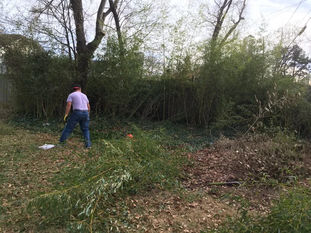 Professional lawn care service in Gastonia, NC - FloorScape Home & Landscaping