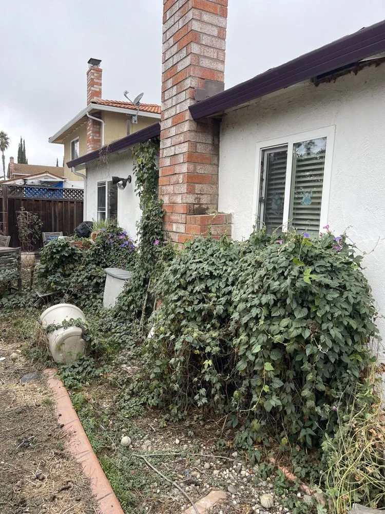 Reliable lawn care service experts serving San Jose, CA - Flor Property Services