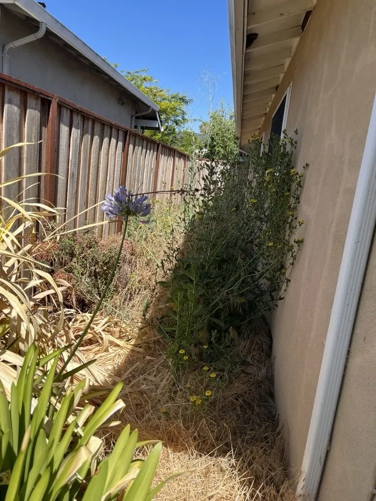 Expert lawn care service with custom design in San Jose, CA by Flor Property Services