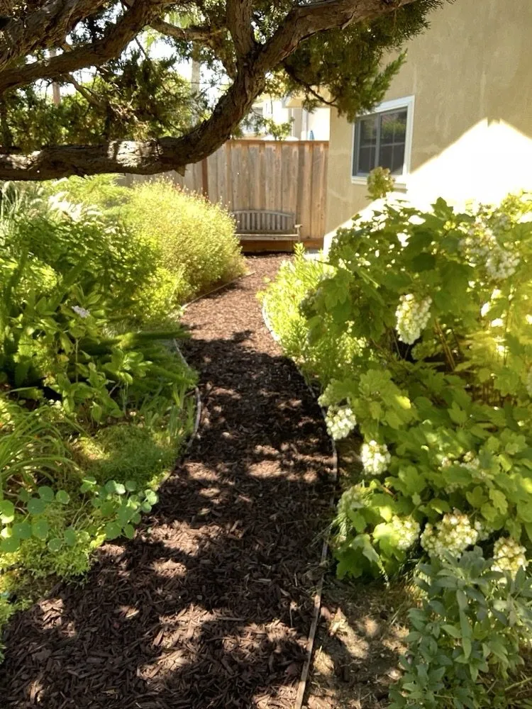 Professional landscape design in San Jose, CA - Flor Property Services