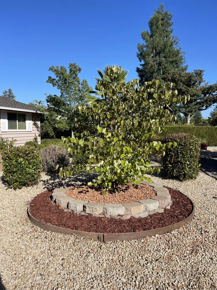 Reliable yard cleanup service in San Jose, CA by Flor Property Services