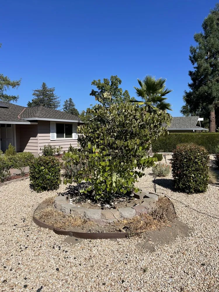 Local landscape installation experts serving San Jose, CA - Flor Property Services