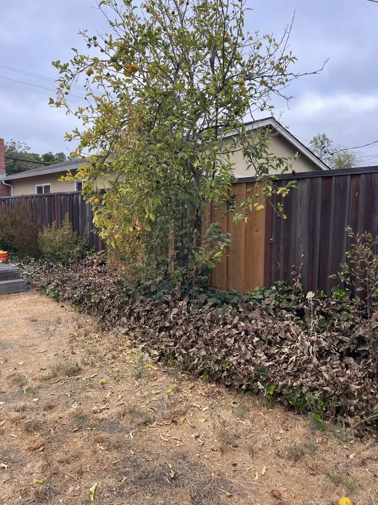 Trusted lawn mowing service for homes in San Jose, CA by Flor Property Services