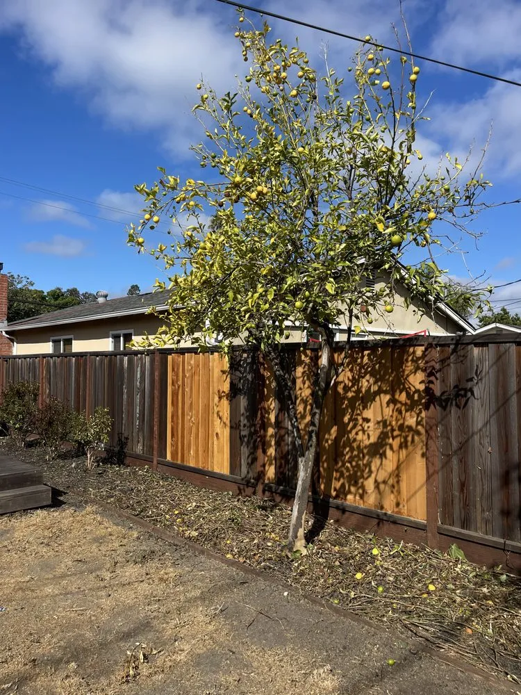 Professional landscape installation experts serving San Jose, CA - Flor Property Services