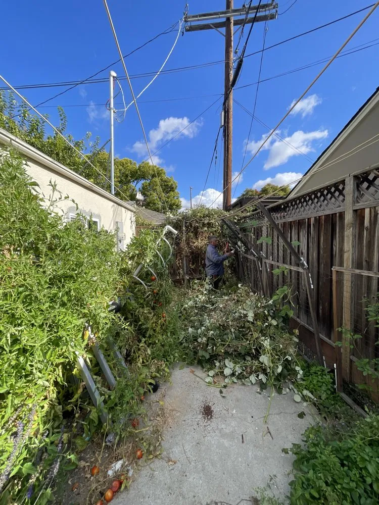 Affordable yard maintenance in San Jose, CA by Flor Property Services