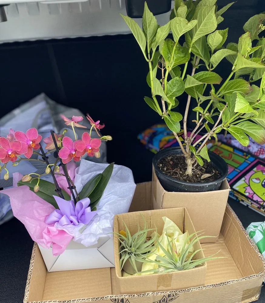 Local landscaping services for homes in Half Moon Bay, CA by Flora Farm Landscaping