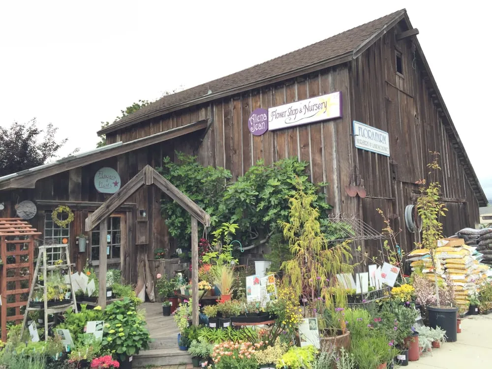 Reliable yard maintenance in Half Moon Bay, CA - Flora Farm Landscaping