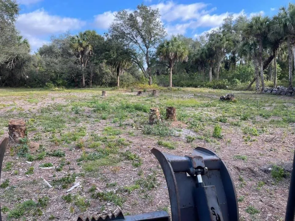 Affordable yard maintenance experts serving DeBary, FL - Flora Land Solutions